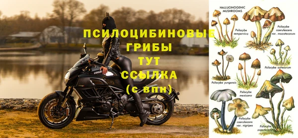 амфетамин Аркадак